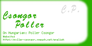csongor poller business card
